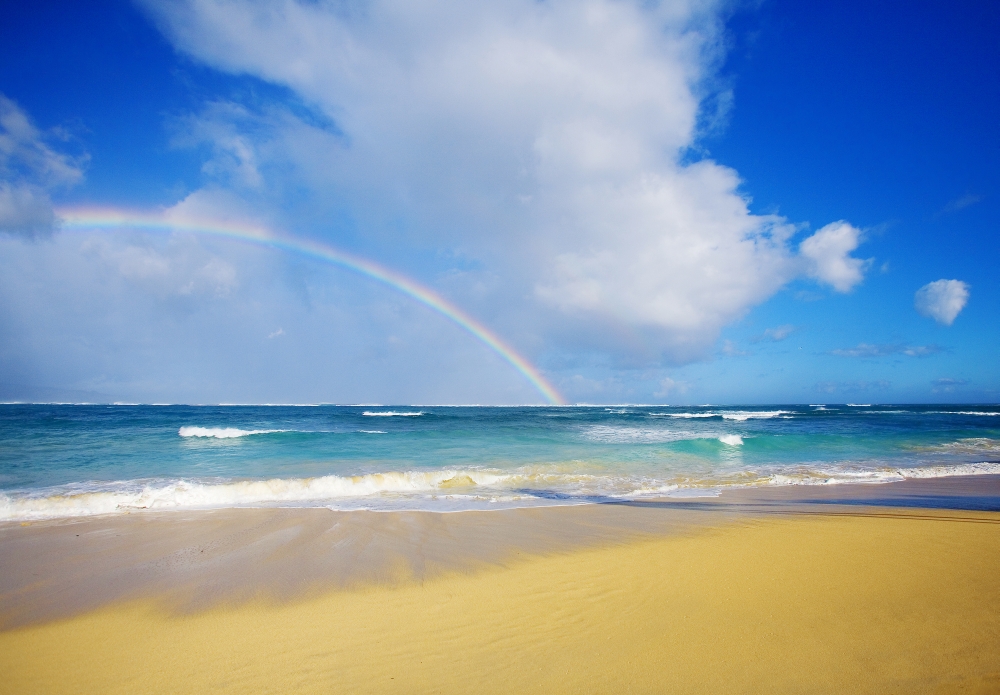 USA Hawaii Rainbow at Baldwin Beach Maui Canvas Art - Ron Dahlquist Design Pics (32 x 22)