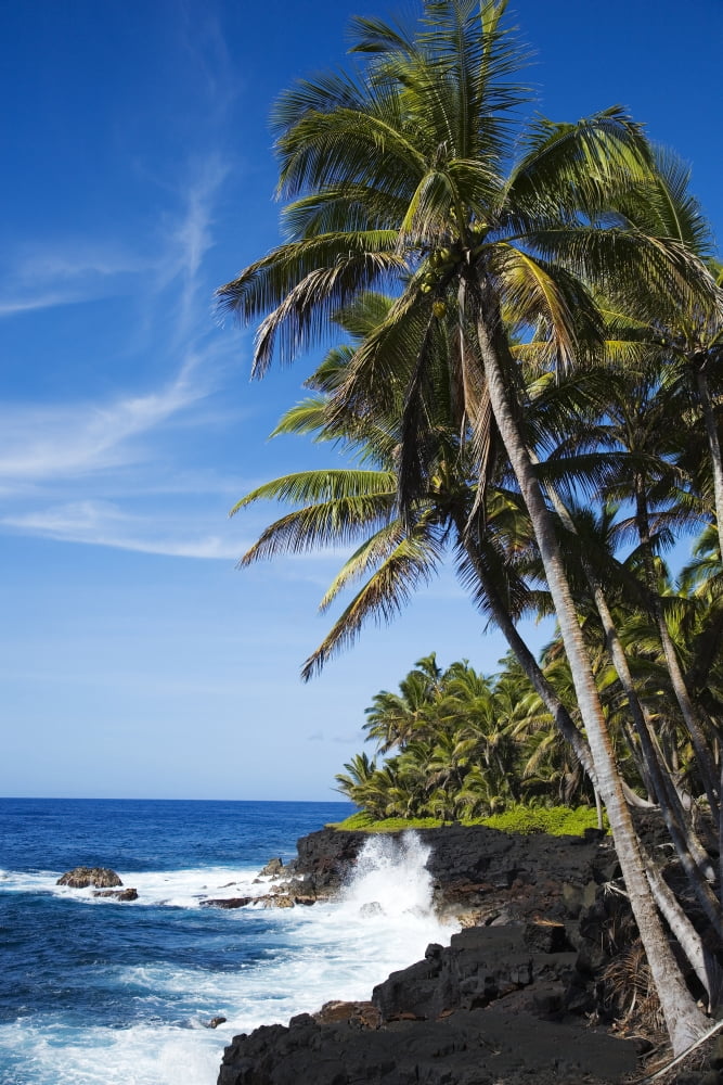 USA Hawaii Scenic view of Kahena Coastline Big Island Canvas Art - Dana Edmunds Design Pics (22 x 34)