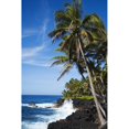 thumbnail image 1 of USA, Hawaii, Scenic view of Kahena Coastline; Big Island Poster Print (11 x 17), 1 of 3