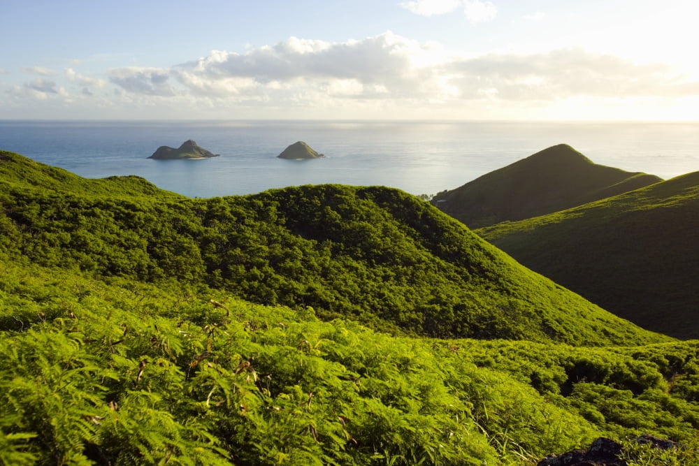 USA Hawaii View of mountains and Mokulua Islands Lanikai Canvas Art - Dana Edmunds  Design Pics (36 x 24)