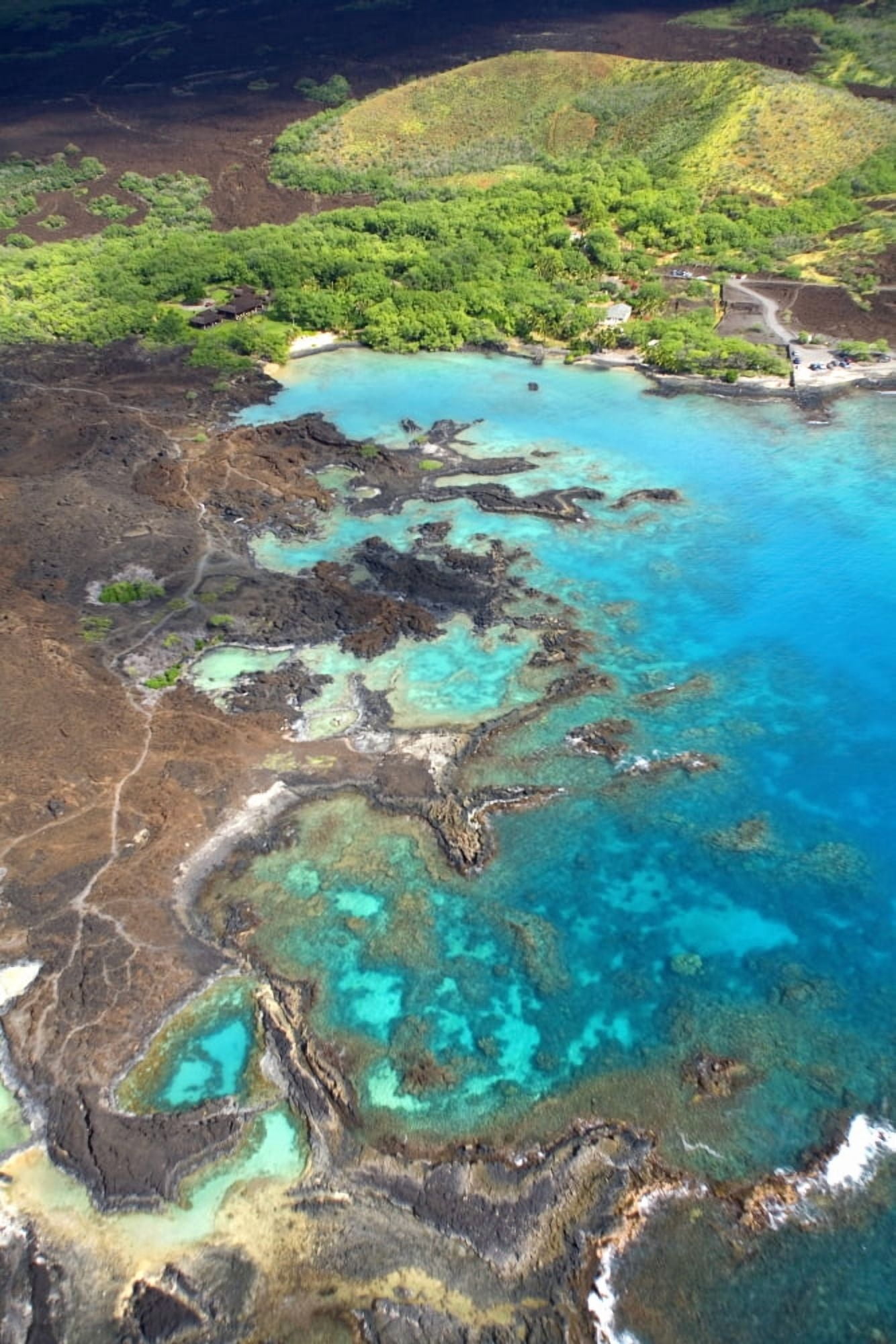 USA Hawaii view from above La Perouse Bay Ahihi Kinau Natural Preserve Canvas Art - Ron Dahlquist Design Pics (22 x 34)