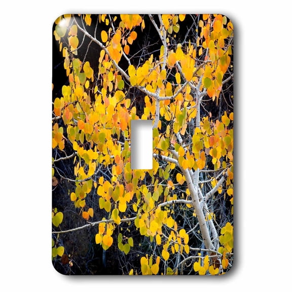 3dRose, USA, Idaho, Sawtooth National Forest, aspen., single toggle switch