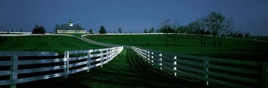 USA Kentucky Lexington horse farm Canvas Art - Panoramic Images (18 x 6)