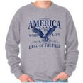 thumbnail image 1 of USA Land of the Free Patriotic Eagle Unisex Plus Fleece Graphic Sweatshirt Brisco Brands 2X, 1 of 6
