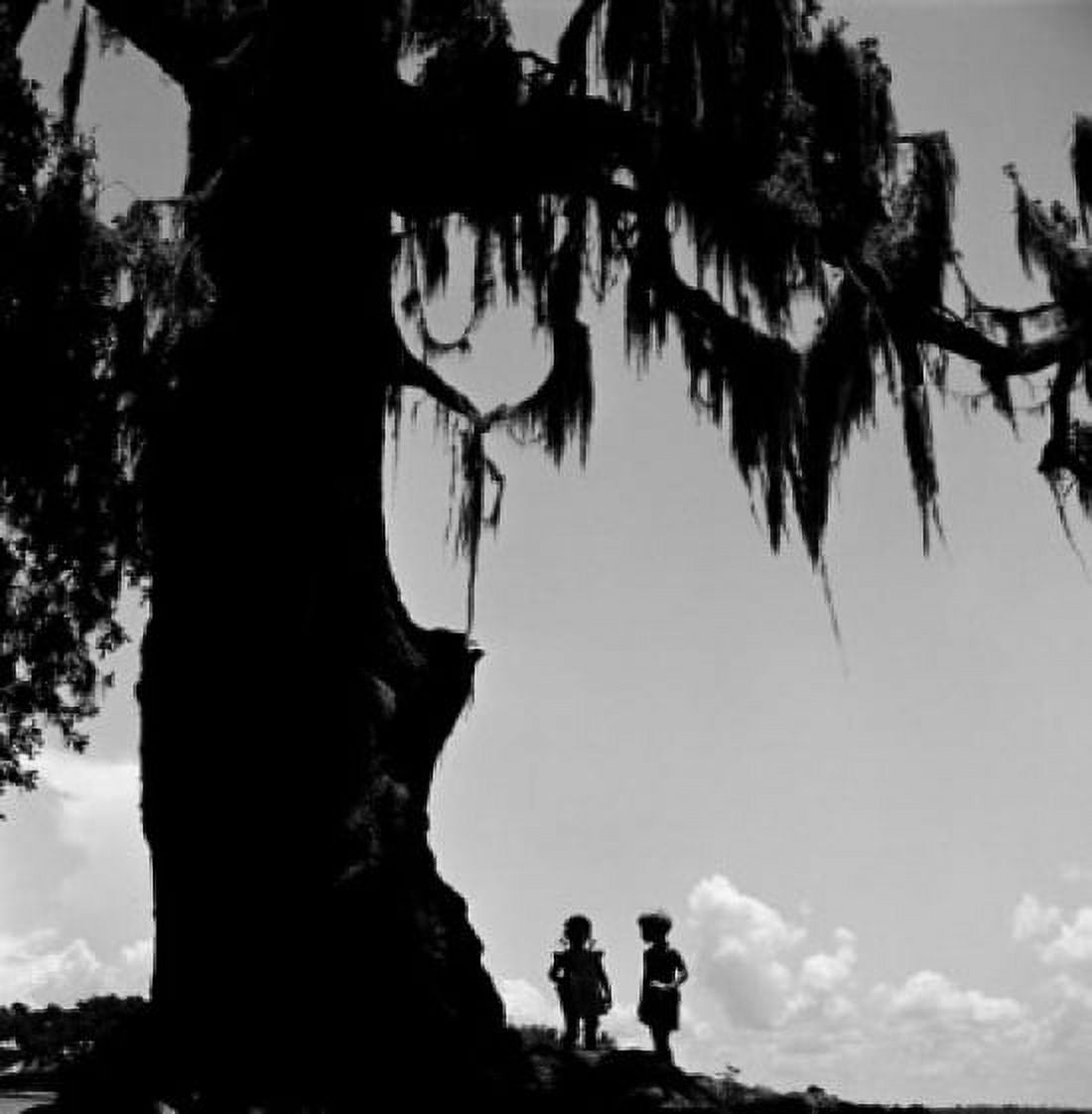 USA Louisiana Bayou Kids standing under large tree Canvas Art - (18 x 24)