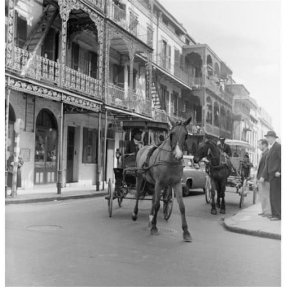 USA Louisiana New Orleans French Quarter Street Scene with Horse Cart Poster Print - 18 x 24 in.