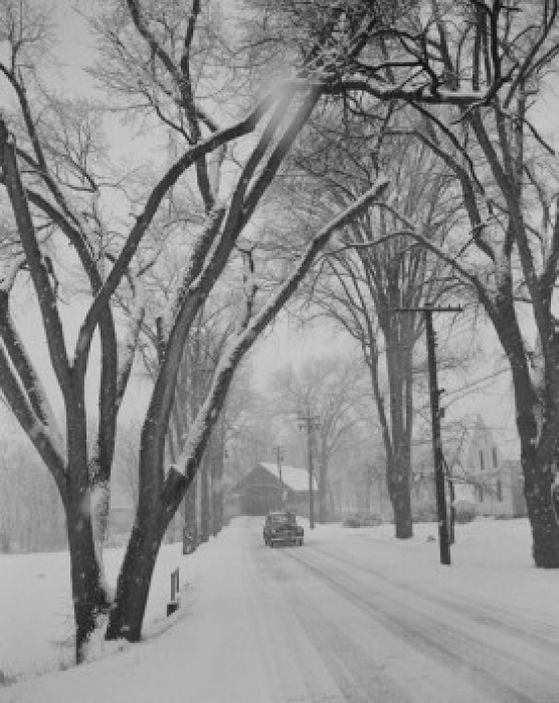 USA Lyndonville Vermont snow storm Canvas Art - (24 x 36)