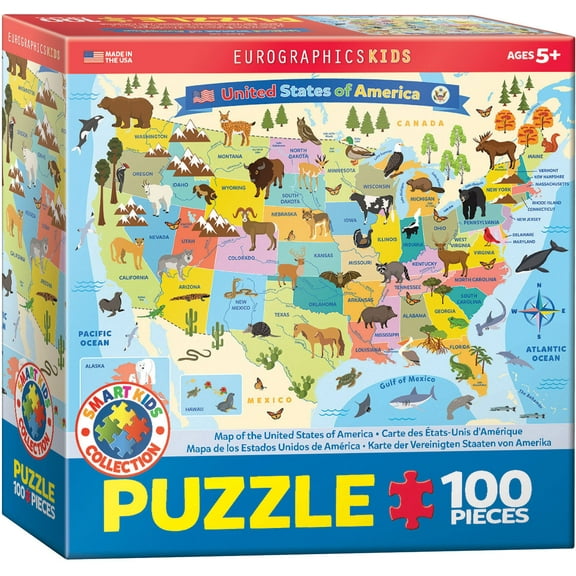 USA Map Illustrated 100 pc