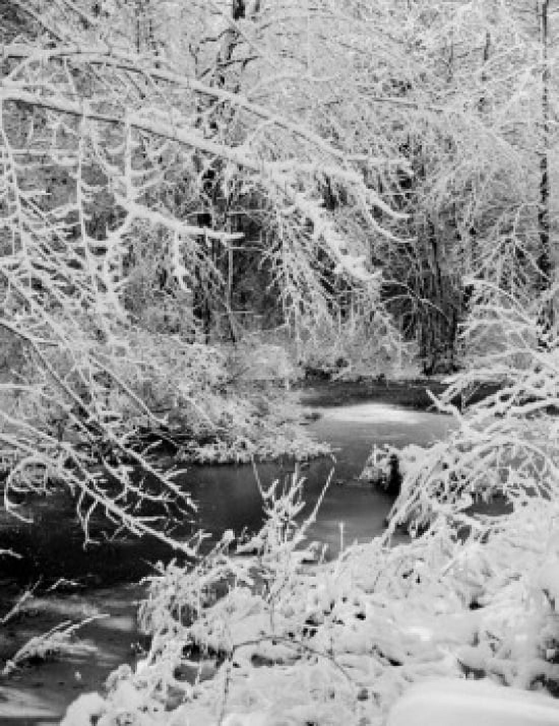 USA Massachusetts Assonet winter scene with brook Canvas Art - (18 x 24)