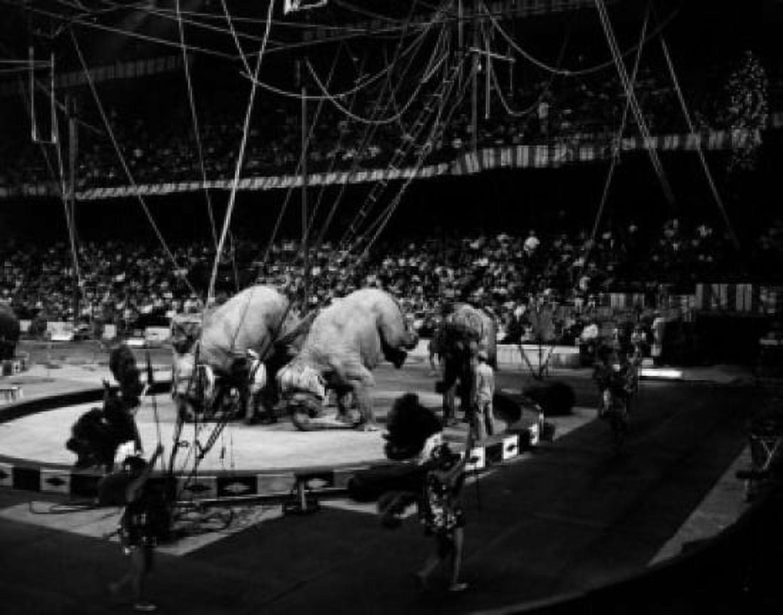 USA Massachusetts Boston Gardens Barnum and Bailey Ringling Brothers Circus Canvas Art - (18 x 24)