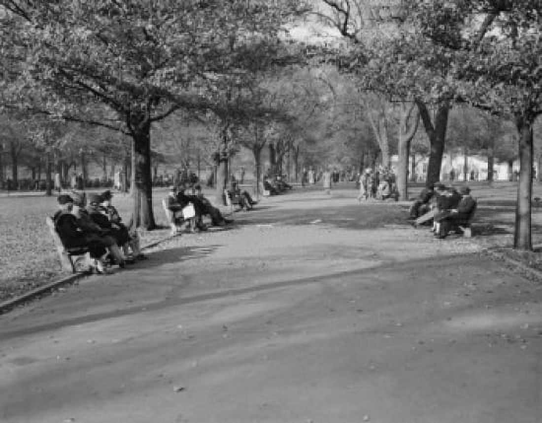 USA Massachusetts Boston People sitting on benches and walking in park Canvas Art - (24 x 36)