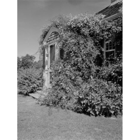 USA Massachusetts Cape Cod Chatham Roses Over Doorway Poster Print - 18 x 24 in.