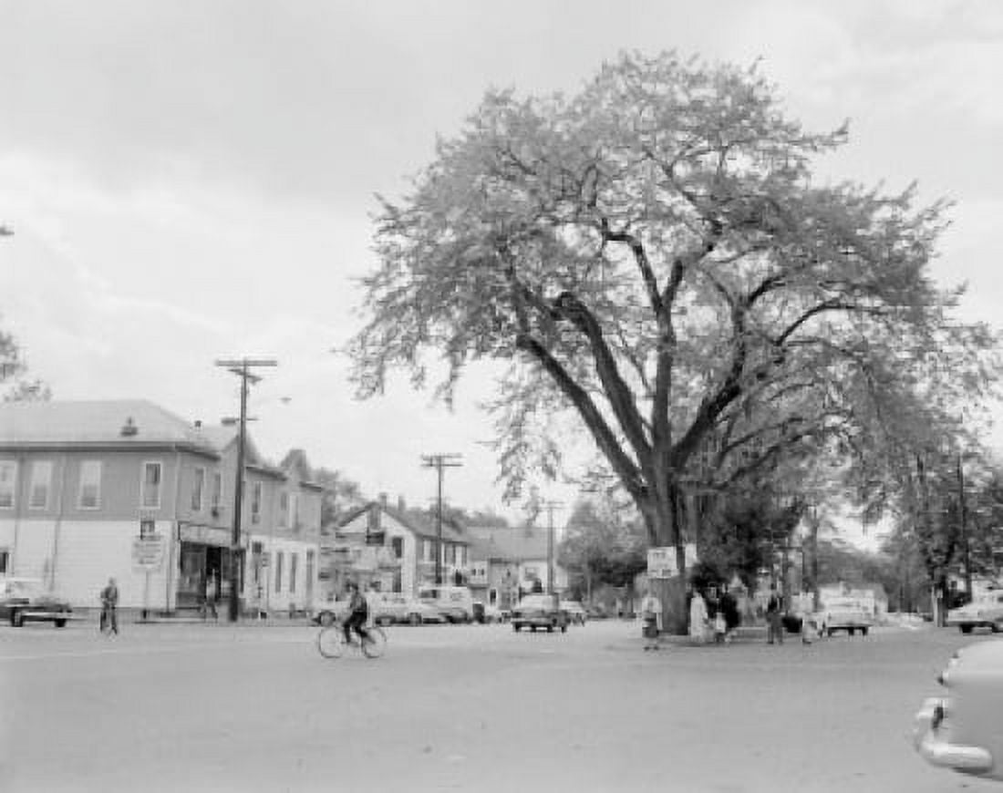 USA Massachusetts Northborough Street scene Canvas Art - (24 x 36)