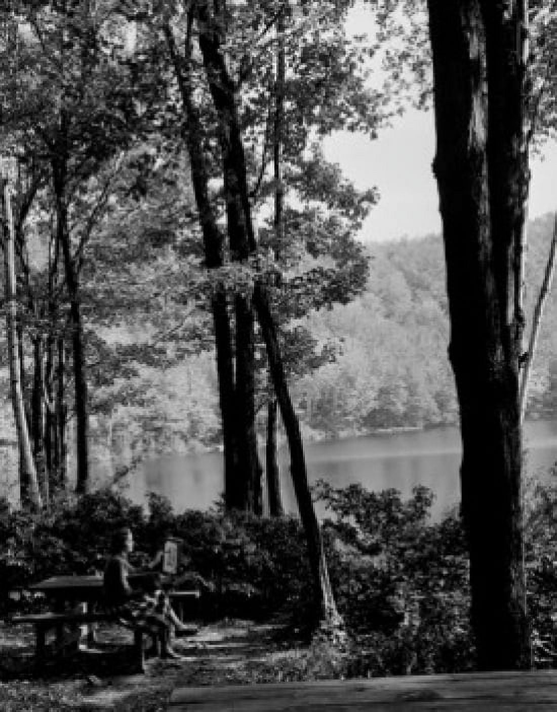 USA Massachusetts Savoy Mountain State Forest Young woman painting by lake Canvas Art - (24 x 36)