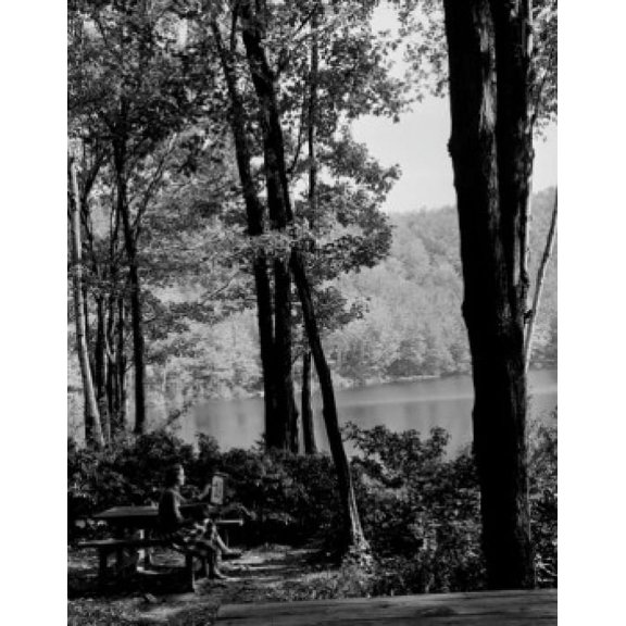 USA Massachusetts Savoy Mountain State Forest Young woman painting by lake Canvas Art - (24 x 36)