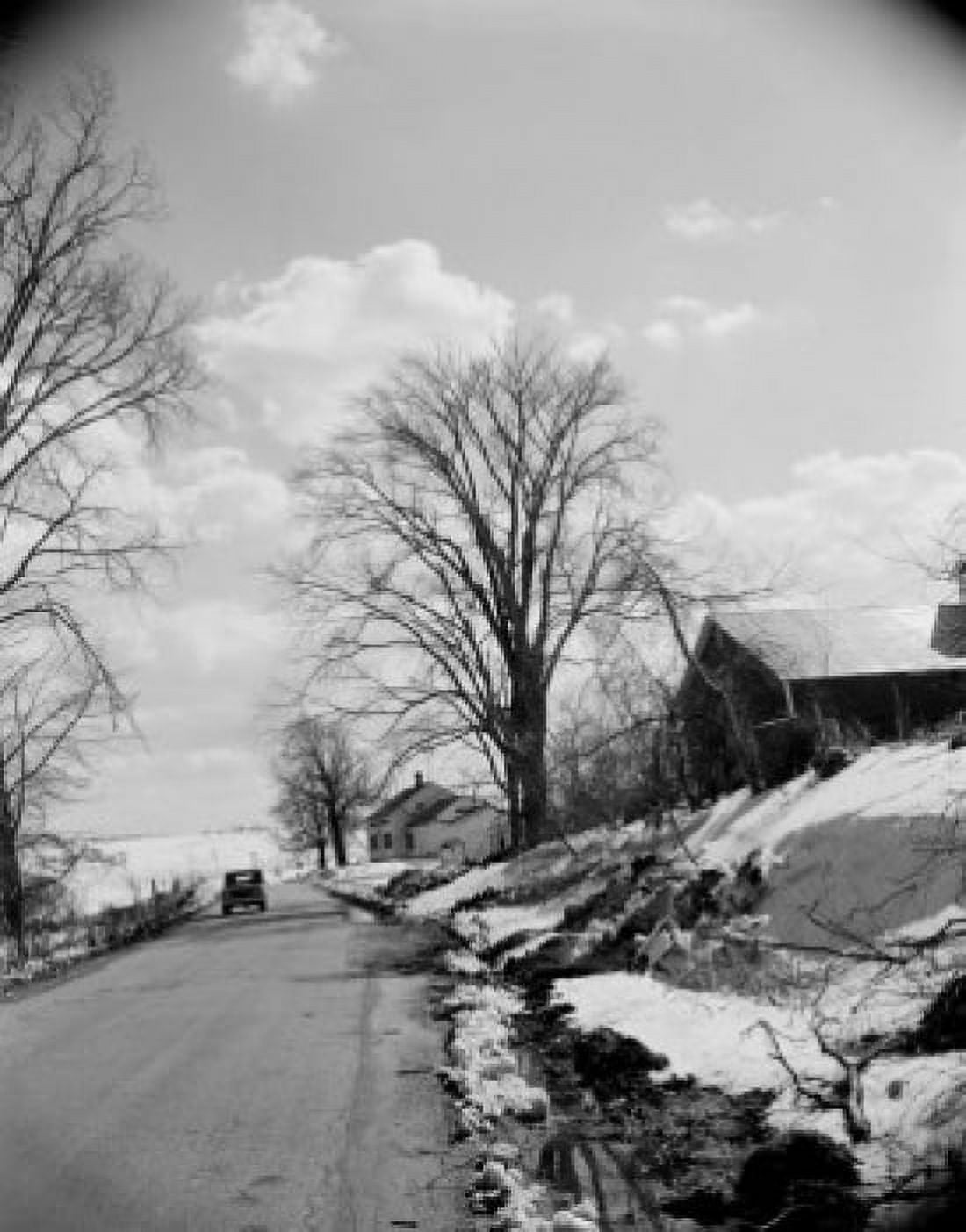 USA Massachusetts village road Canvas Art - (24 x 36)