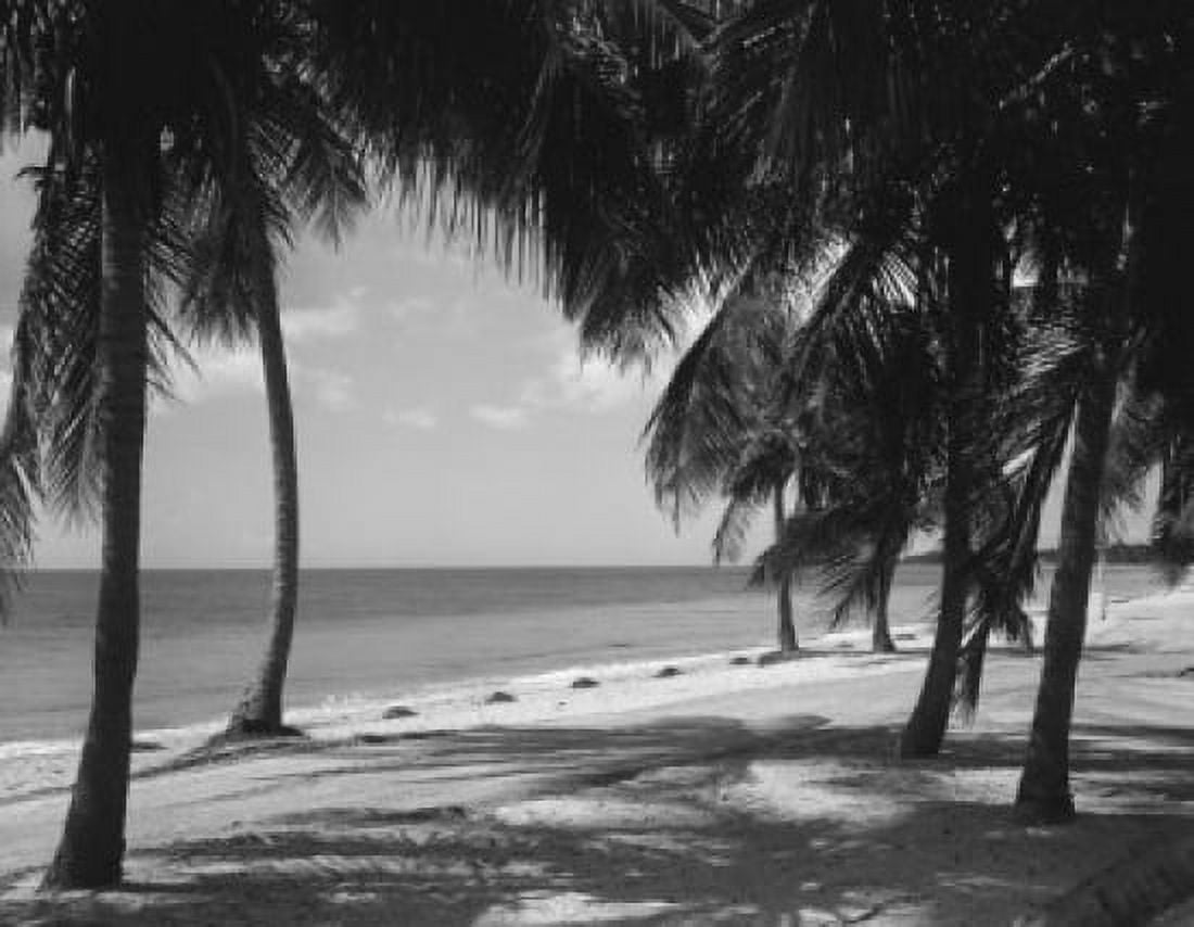 USA Miami Crandon Park on Key Biscane Canvas Art - (18 x 24)