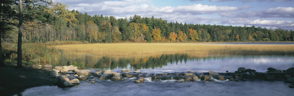 USA Minnesota Itasca State Park View of trees around a lake Canvas Art - Panoramic Images (36 x 12)