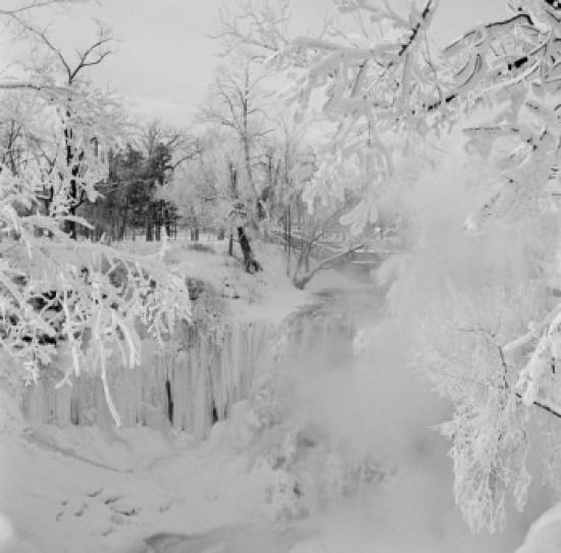 USA Minnesota Winter landscape Canvas Art - (18 x 24)