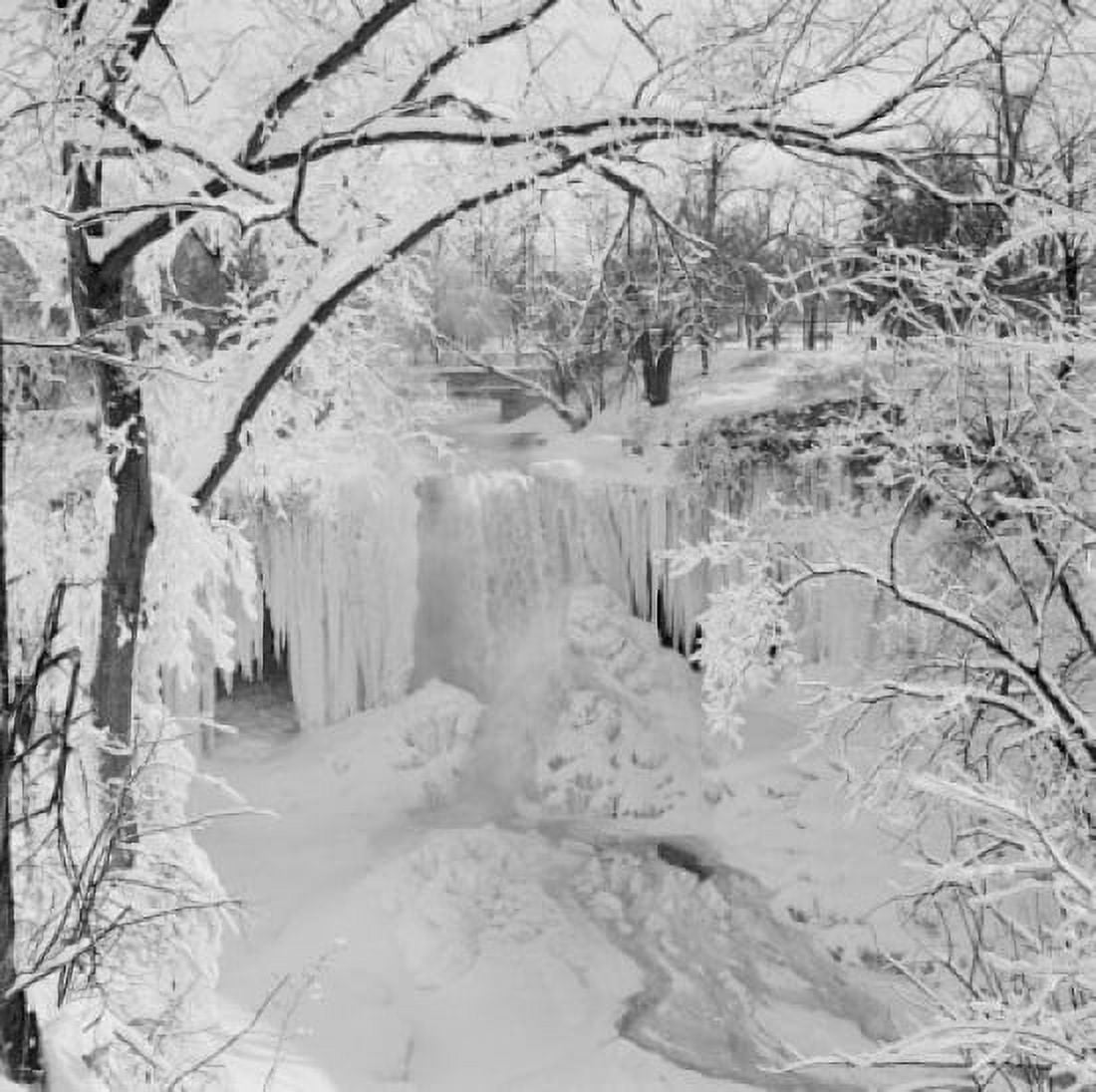 USA Minnesota Winter landscape Canvas Art - (24 x 36)