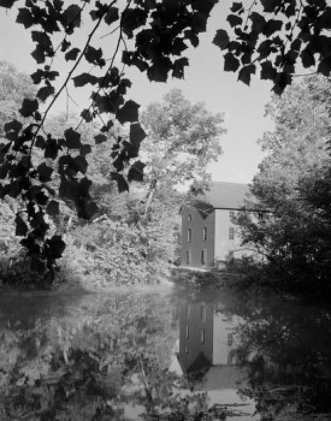 USA Missouri Alley Spring State Park Canvas Art - (24 x 36)