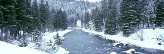 USA Montana Gallatin River winter Canvas Art - Panoramic Images (36 x 12)