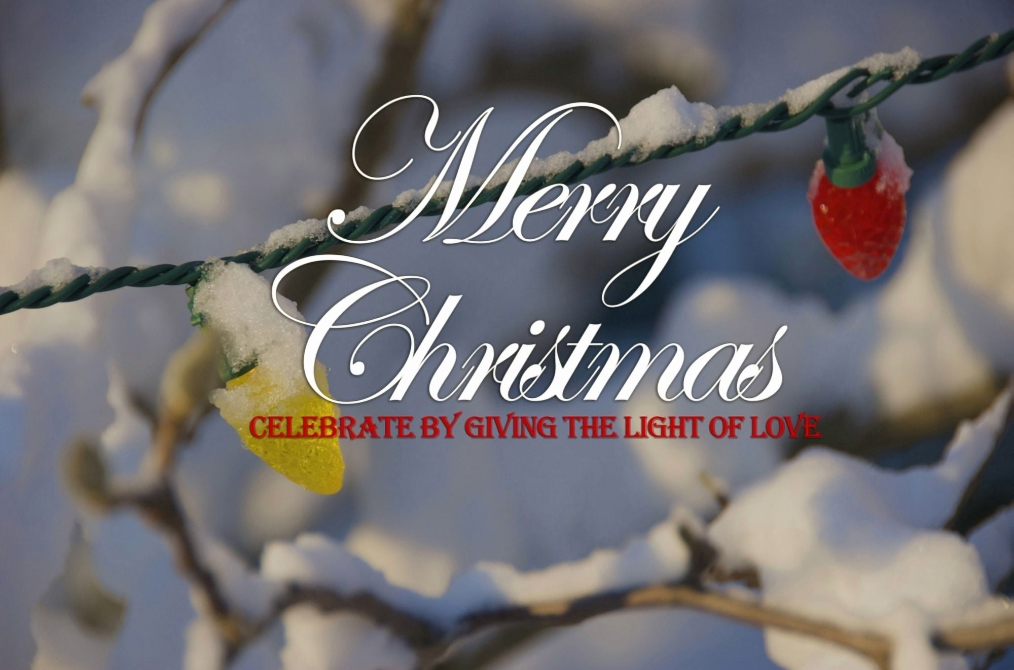 USA New England Massachusetts Reading holiday lights after winter storm Canvas Art - Lisa S Engelbrecht Danita Delimont (17 x 11)