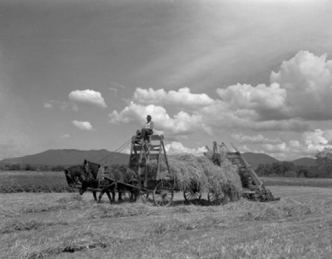 USA New England Vermont Hay loader working on farm Canvas Art - (18 x 24)