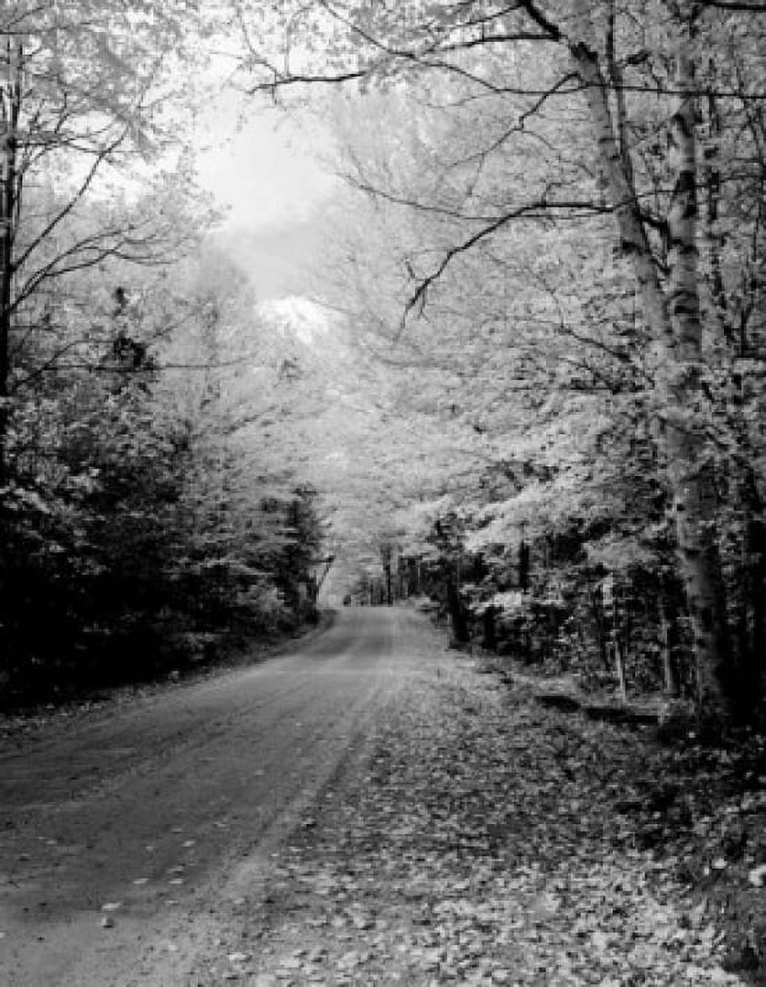USA New Hampshire Autumn landscape Canvas Art - (24 x 36)