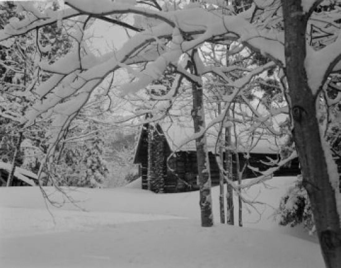 USA New Hampshire Jackson Cabin with heavy snow on tree branches Canvas Art - (24 x 36)