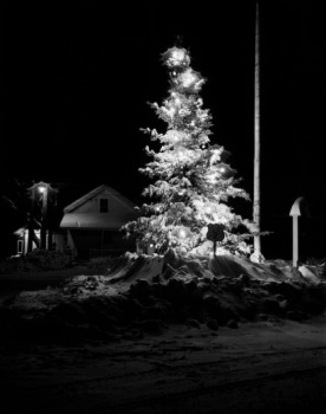 USA New Hampshire Jefferson Christmas tree at night Canvas Art - (24 x 36)