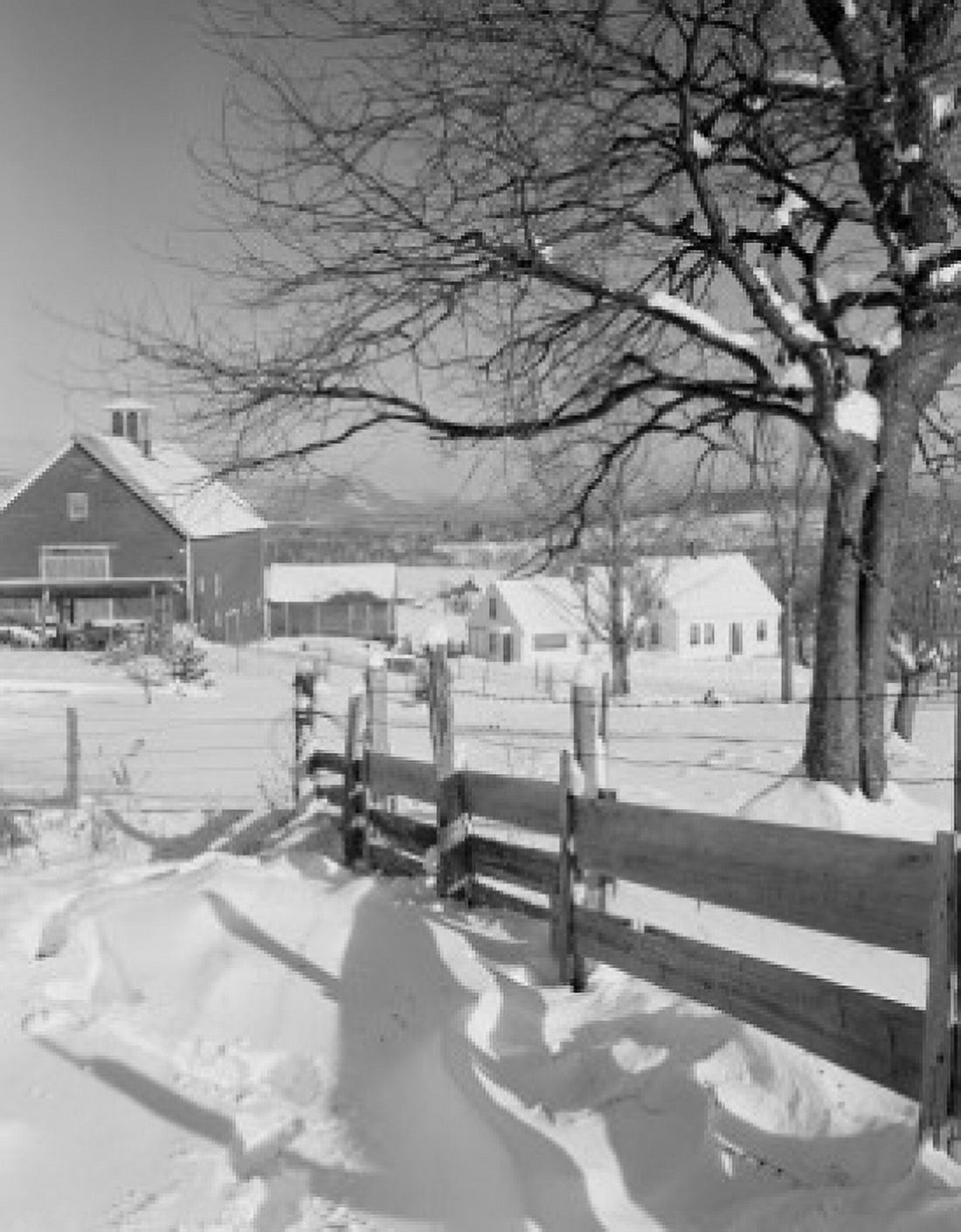 USA New Hampshire Lancaster farm buildings with tree and plank fence Canvas Art - (18 x 24)