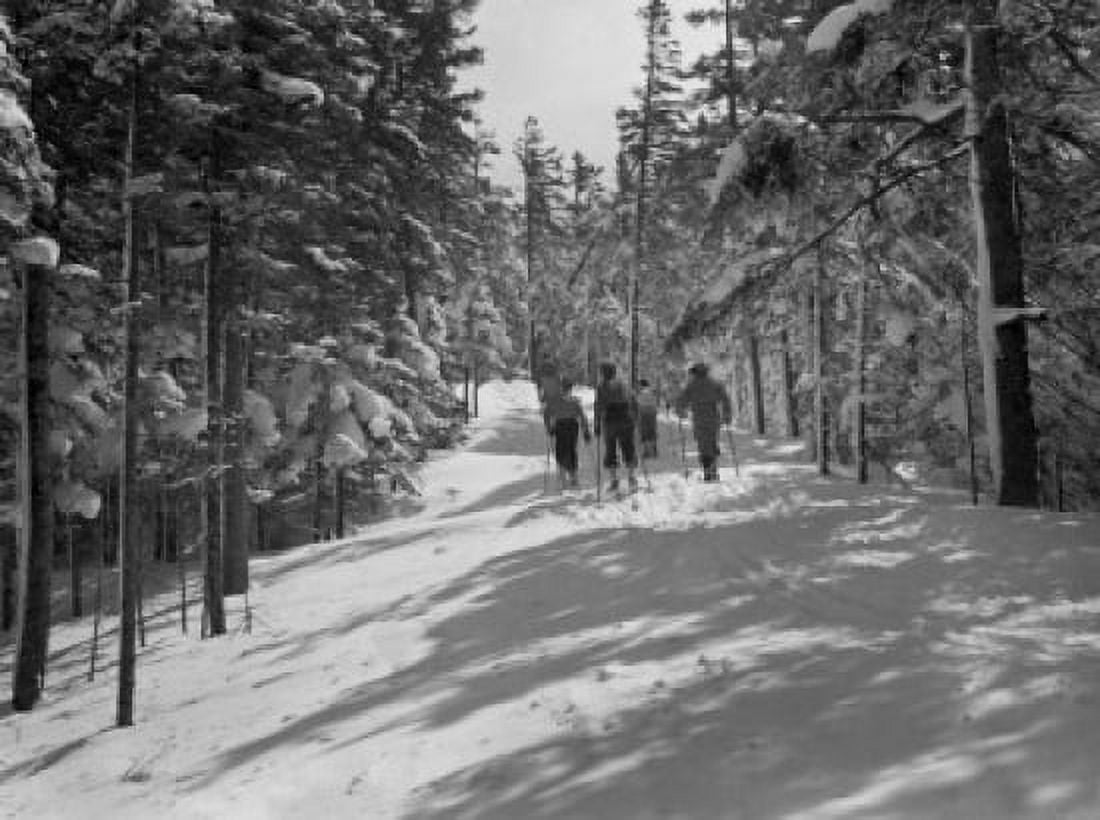 USA New Hampshire Mount Washington Sherburne Ski Trail Canvas Art - (24 x 36)