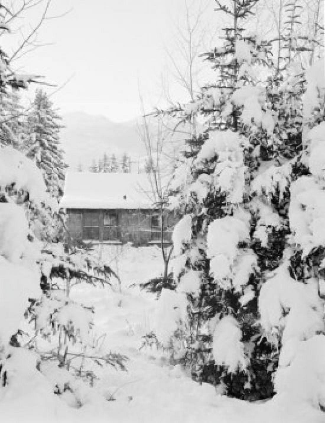 USA New Hampshire Randolph cottage in snow covered fir trees with Mount Madison and Adams in background Canvas Art - (18 x 24)