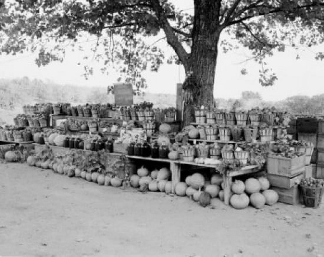 USA New Hampshire Roadside fruit and vegetable stall Canvas Art - (18 x 24)