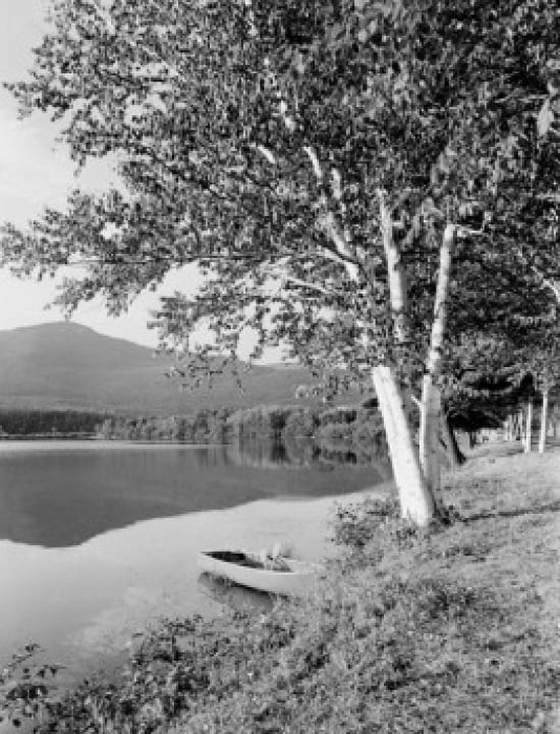 USA New Hampshire Shelburne Androscoggin Lake birches and boat in water Canvas Art - (24 x 36)