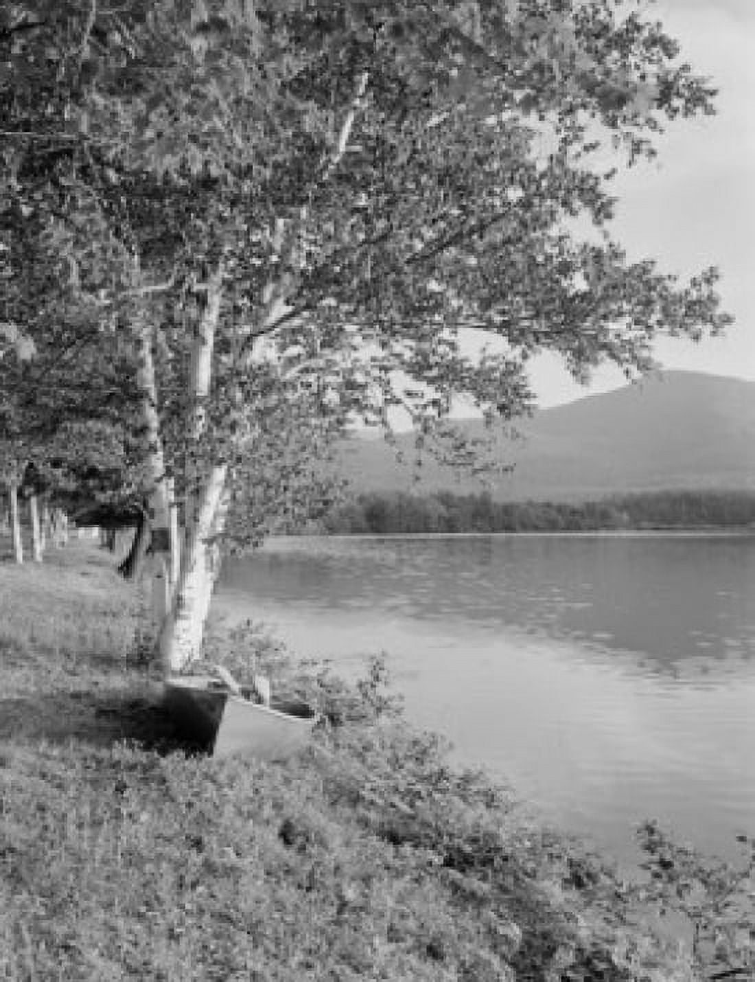 USA New Hampshire Shelburne Androscoggin Lake birches and boat on bank Canvas Art - (18 x 24)