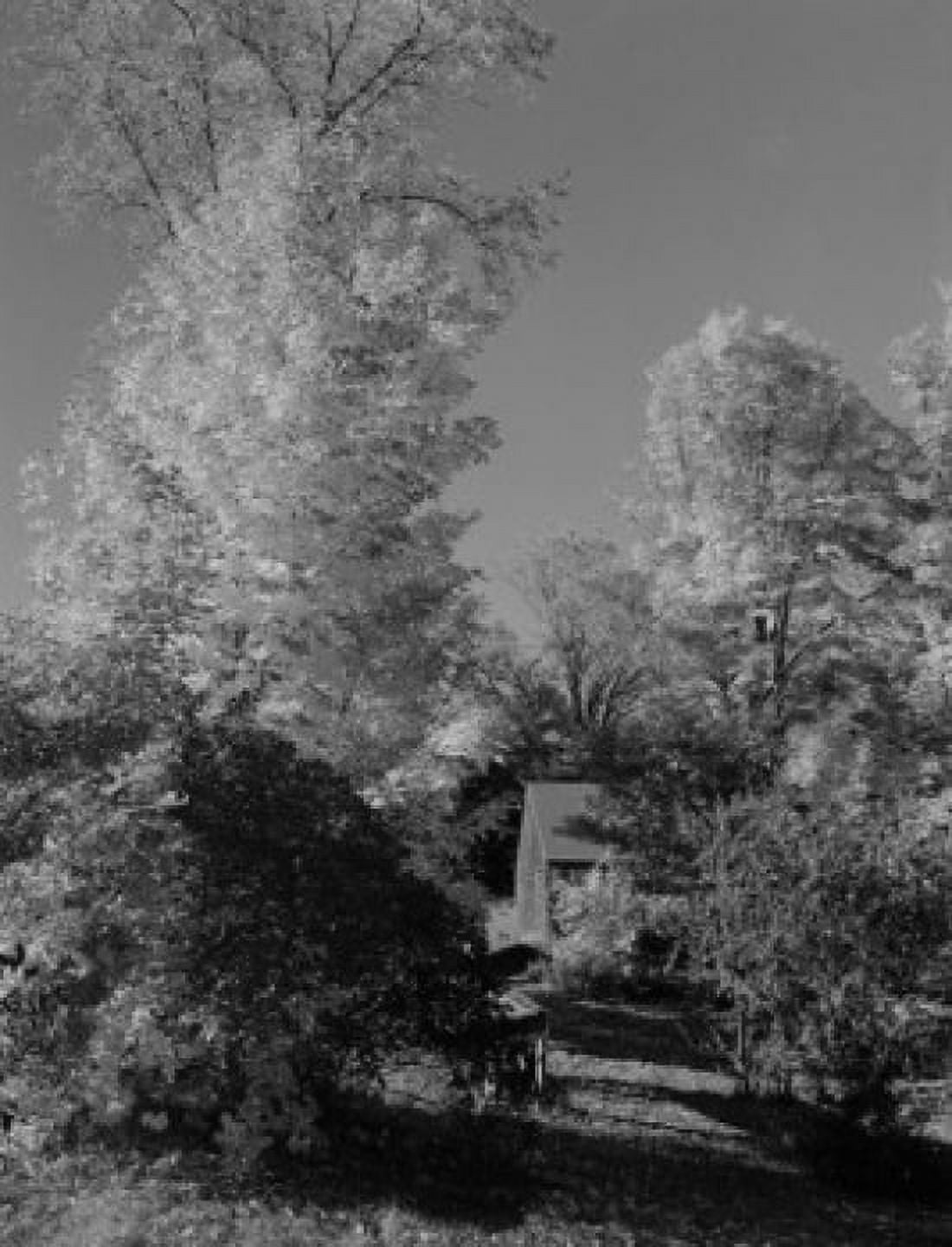 USA New Hampshire Stewartstown old farm house Canvas Art - (24 x 36)