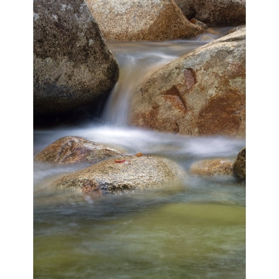 USA New Hampshire White Mountains. Close-up of flowing stream. Poster Print by Jaynes Gallery
