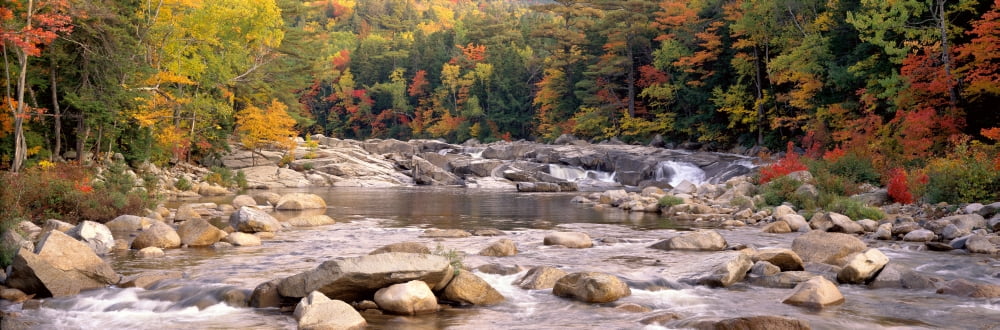 USA New Hampshire White Mountains National Forest River flowing through the wilderness Canvas Art - Panoramic Images (36 x 12)