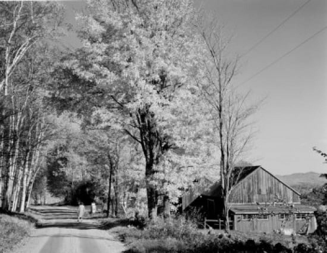 USA New Hampshire Whitefield autumn road scene with birches and barn Canvas Art - (24 x 36)