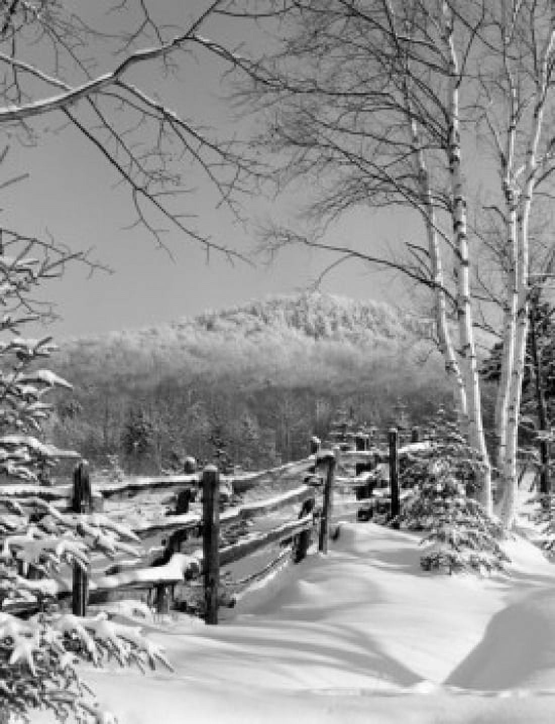 USA New Hampshire Winter landscape Canvas Art - (24 x 36)