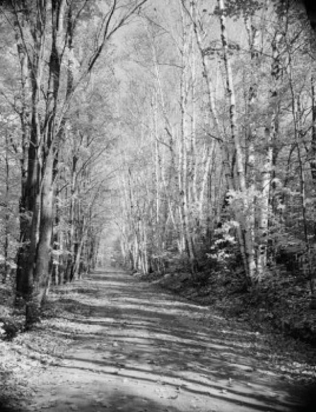 USA New Hampshire near Whitefield trees and road in autumn Canvas Art - (24 x 36)