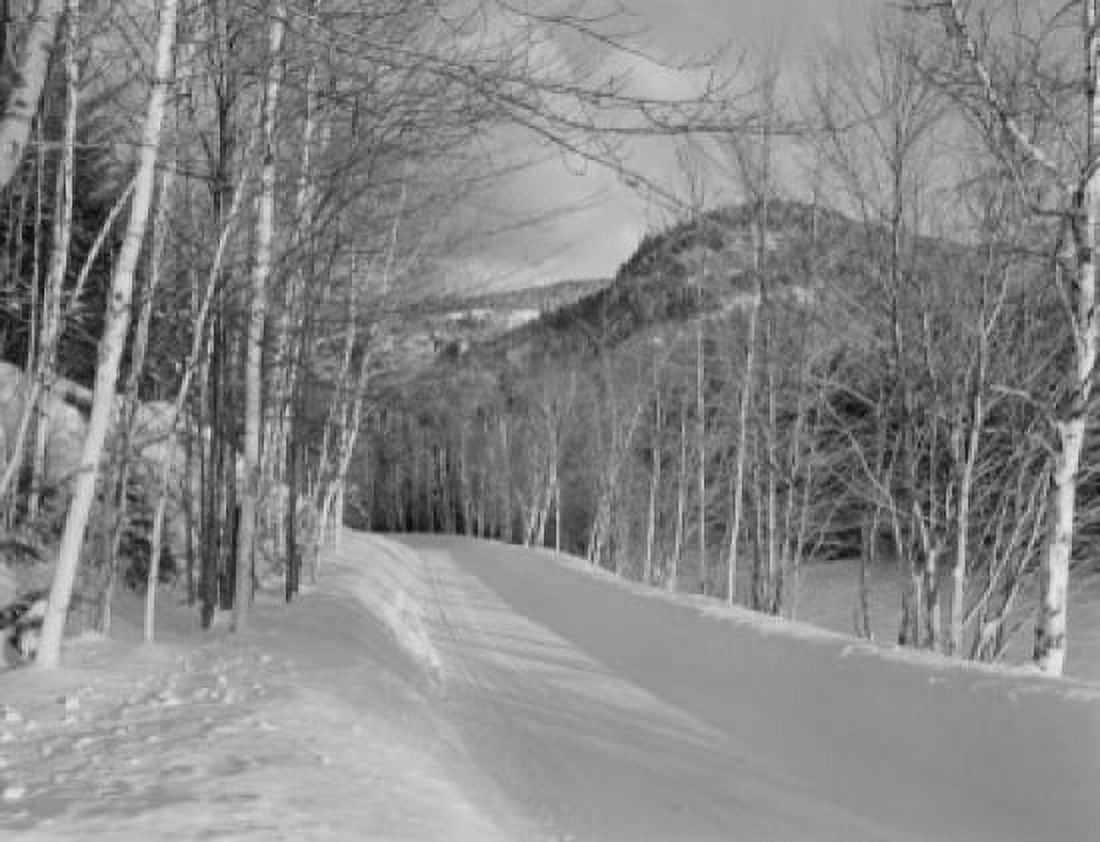 USA New Hampshire road scene with birches Canvas Art - (24 x 36)
