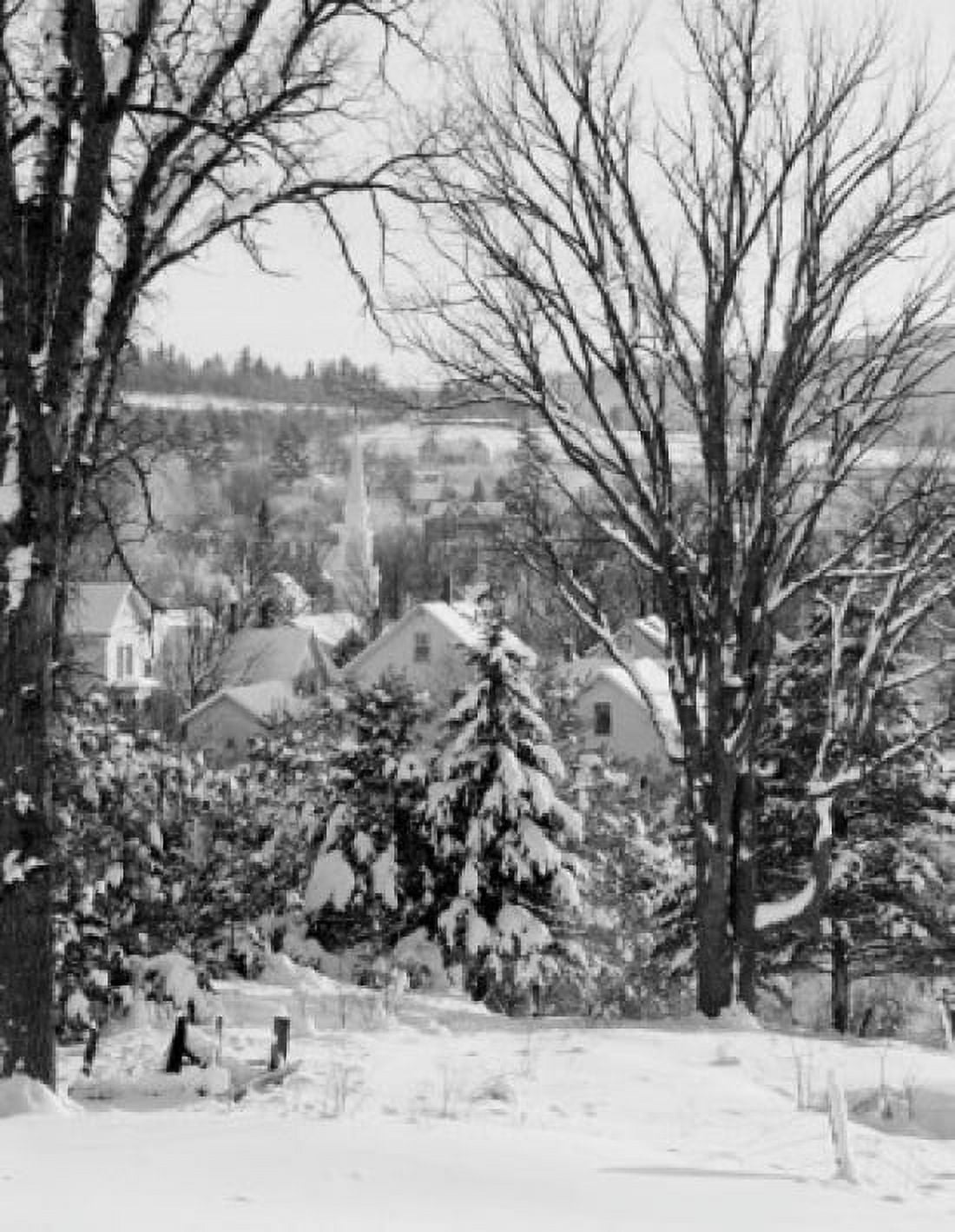 USA New Hampshire village of Whitefield through Elm trees Canvas Art - (18 x 24)