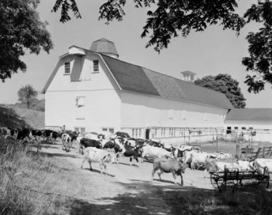 USA New Jersey Newton Martin Farm Canvas Art - (18 x 24)