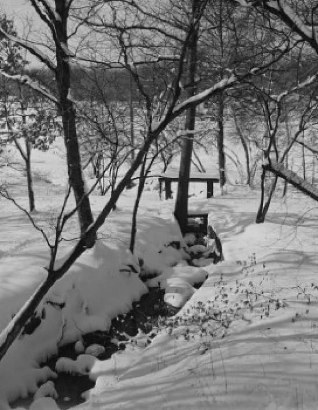USA New Jersey Patterson Brook in winter snow Canvas Art - (24 x 36)
