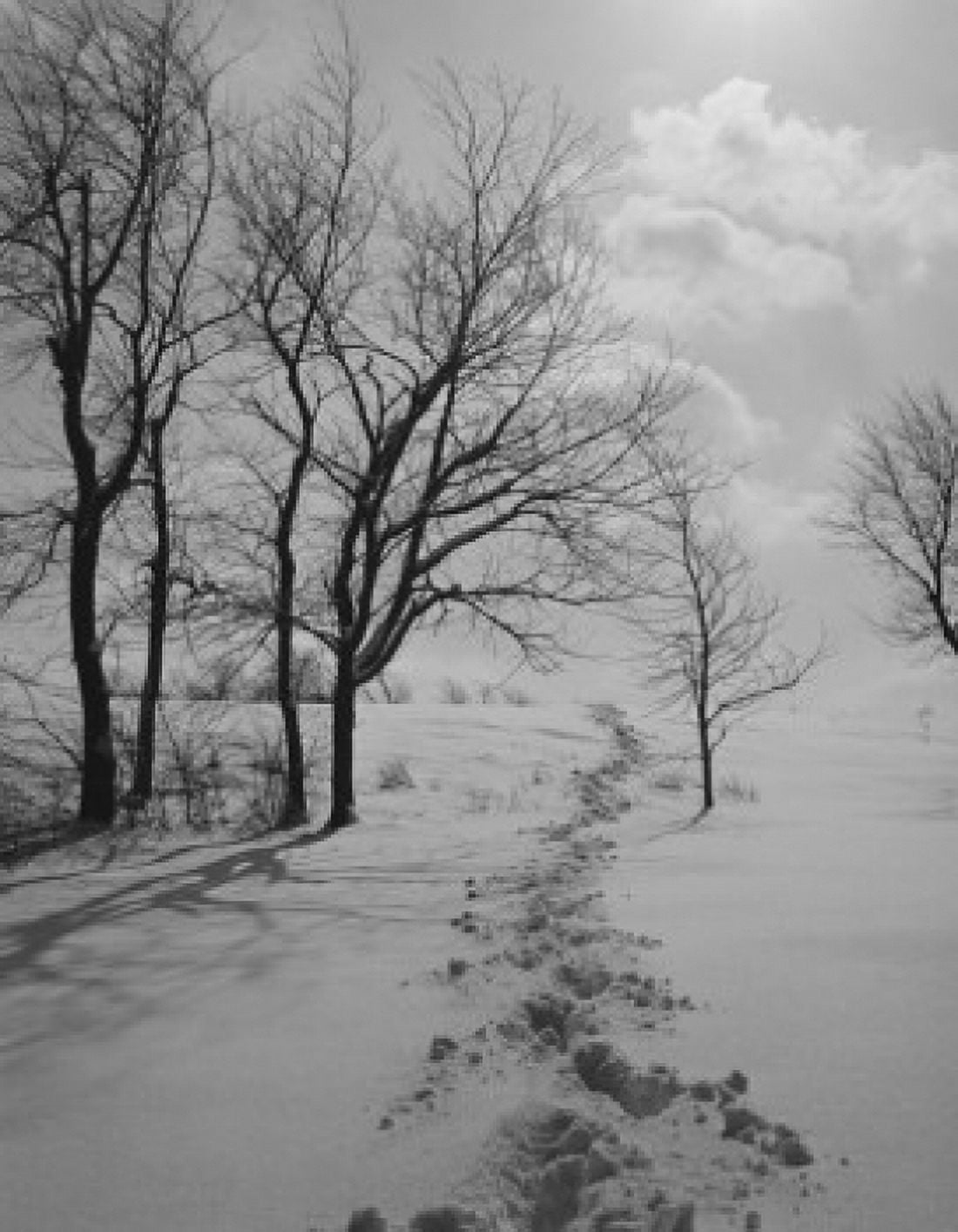 USA New Jersey Patterson Rural scene in winter Canvas Art - (24 x 36)