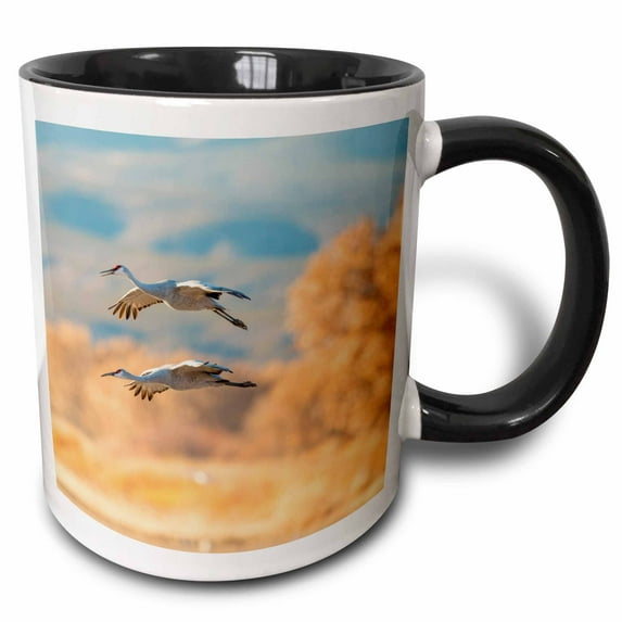 USA, New Mexico, Bosque del Apache Wildlife Refuge. Sandhill cranes. 15oz Two-Tone Black Mug mug-331766-9