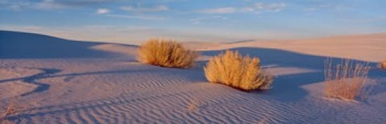 USA New Mexico White Sands sunset Canvas Art - Panoramic Images (36 x 12)
